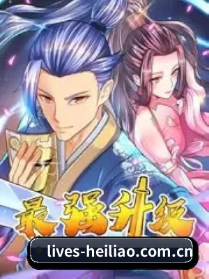 功能完善